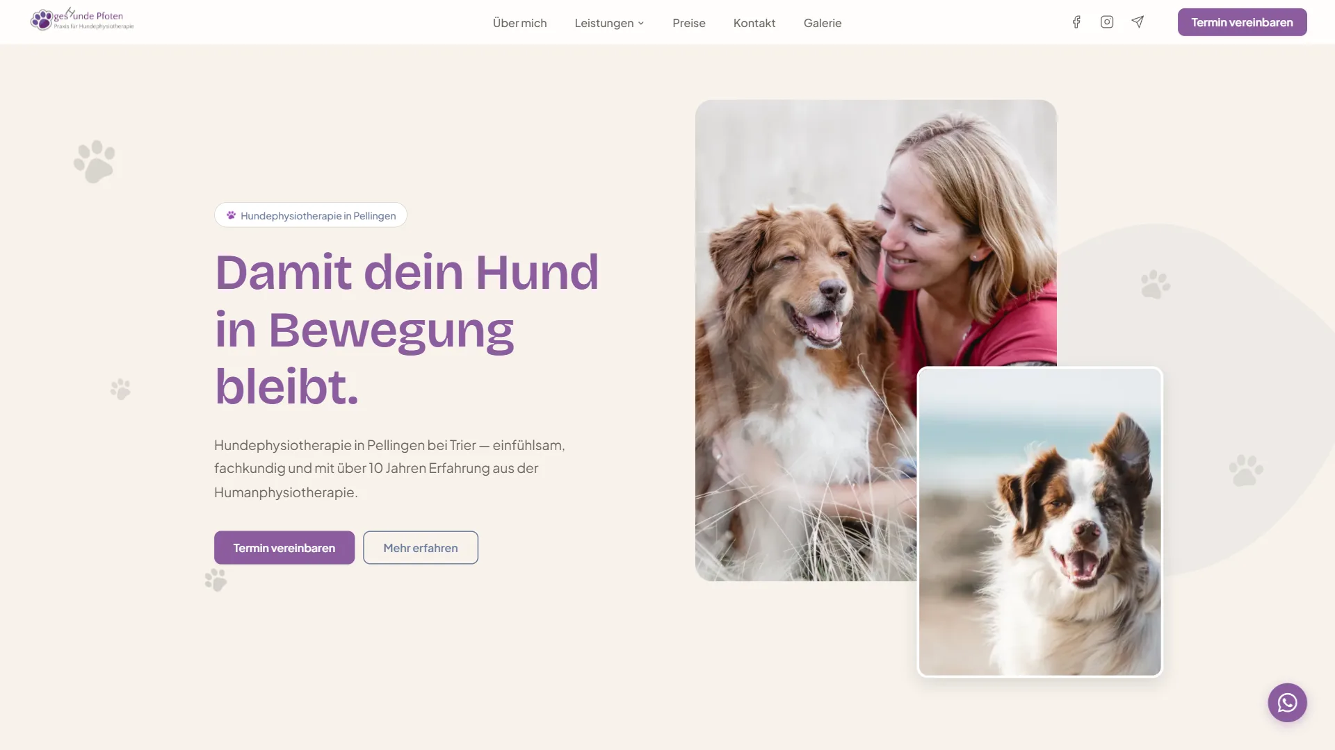 Live-Website Geshunde Pfoten, Hundephysiotherapie